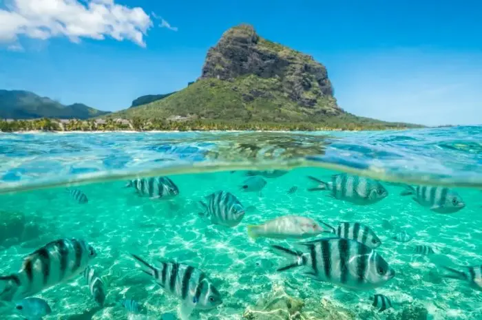 Mauritius, Permata di Tengah Samudera Hindia