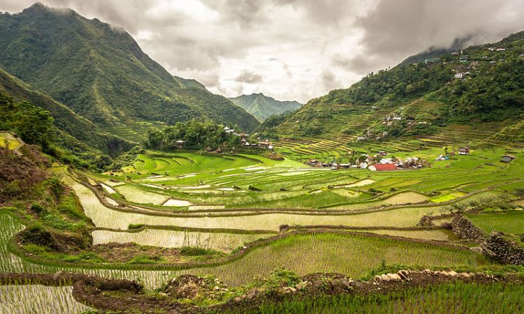 Subak, Menikmati Lanskap Kultur Provinsi Bali