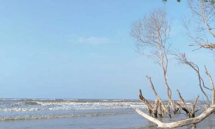 Pantai Muara Beting: Wisata Alam Menakjubkan di Tengah Keindahan Alam