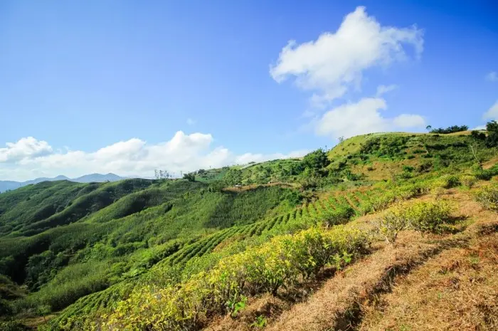 Wisata Alam Malino